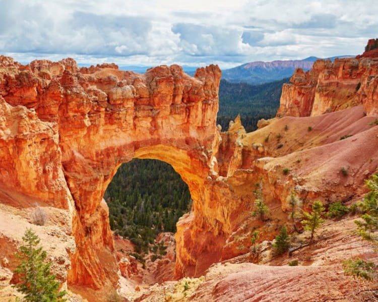 5 Things To Keep In Mind If You’re Travelling To North Rim Grand Canyon For The First Time